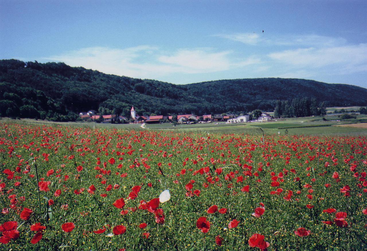 Landgasthof Wagner-Zimmermann Kinding Esterno foto